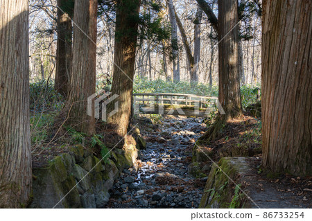 [長野縣]戶隱神社奧社 86733254