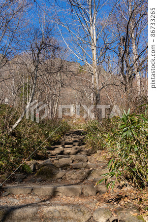 [長野縣]戶隱神社奧社 86733265