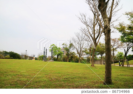 公園裡有一整片翠綠的草地草坪和樹木 86734966