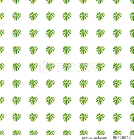 Monstera leaves tropical seamless pattern. Palm leaf endless wallpaper. Monstera leaves tropical seamless pattern. Palm leaf endless wallpaper. 86736042