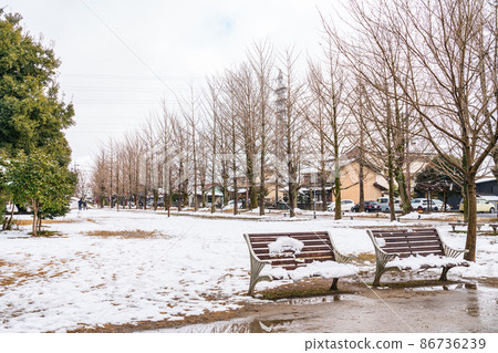 Snow Learning Forest Promenade <Kakamigahara City, Gifu Prefecture> Snow Learning Forest Promenade <Kakamigahara City, Gifu Prefecture> 86736239