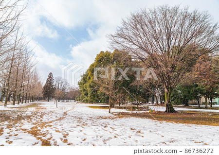Snow Learning Forest Promenade <Kakamigahara City, Gifu Prefecture> Snow Learning Forest Promenade <Kakamigahara City, Gifu Prefecture> 86736272