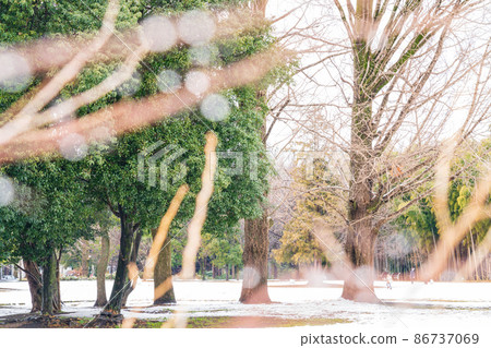 Snow Learning Forest <Kakamigahara City, Gifu Prefecture> 86737069