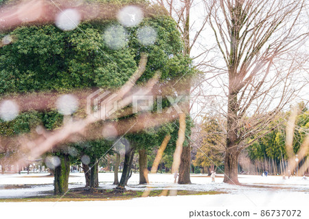 雪學森林 <岐阜縣各務原市> 雪學森林 <岐阜縣各務原市> 86737072