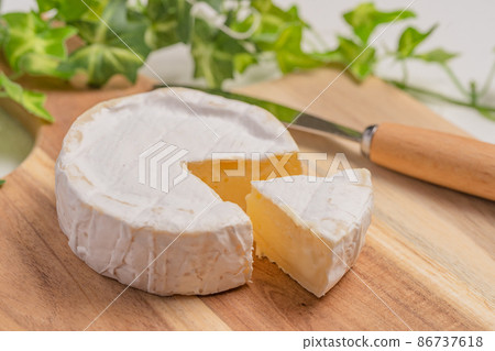 卡門培爾奶酪 86737618