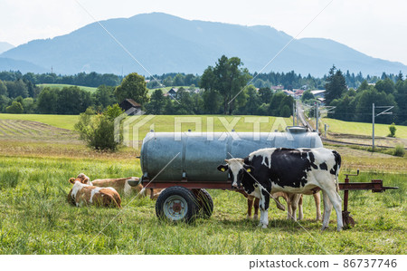 Scenic view over the German countryside around the village Bad Kohlgrub, Bavaria. 86737746