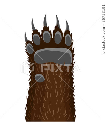 Animal paw. Animalistic foot of bear. Funny fur pet with dangerous claws 86738191