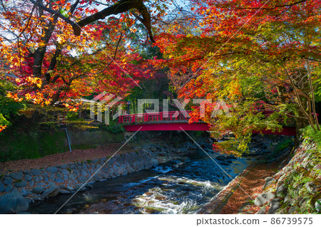 靜岡縣伊豆市修善寺秋葉季節修善寺溫泉鎮 86739575