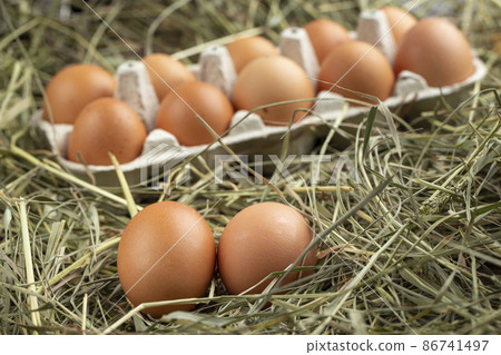 Chicken eggs in a tray and in hay. 86741497