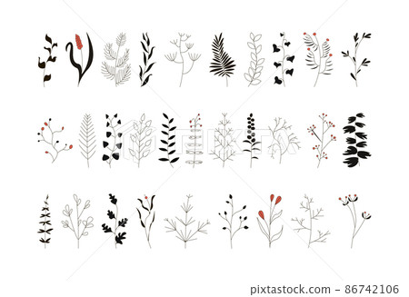 A set of graceful sprigs with leaves and flowers. Collection of hand-drawn spring plants. 86742106