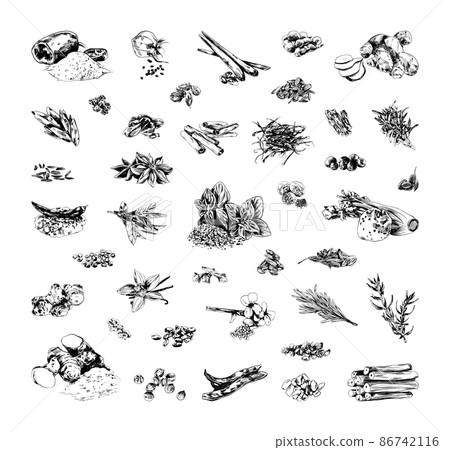 Collection of monochrome illustrations of spice in sketch style. Hand drawings in art ink style. Black and white graphics. 86742116