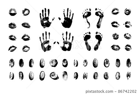 Vector set of textured, and grunge fingerprints, handprints, lip prints and footprints for your design. Collection of black templates on white background for illustrations about cybersecurity. 86742202