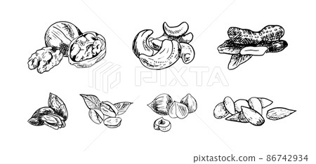 Set of monochrome vector illustrations of nuts in sketch style. Collection of hand drawings in art ink style. Black and white graphics. Set of monochrome vector illustrations of nuts in sketch style. Collection of hand drawings in art ink style. Black and white graphics. 86742934