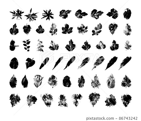 Collection of traced leaves. Black prints of foliage. Vector design elements isolated on a white background. 86743242