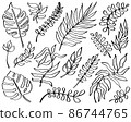 One line drawing leaves set in doodle style. Line art hand drawn black plants. Modern exotic summer botanical illustrations. Monstera, palm, banana tropical leaf. Vector 86744765