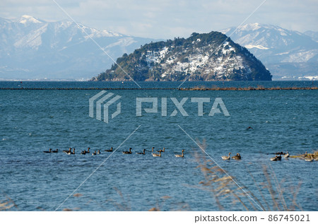 Chikubu Island in winter, Nagahama City, Shiga Prefecture Chikubu Island in winter, Nagahama City, Shiga Prefecture 86745021