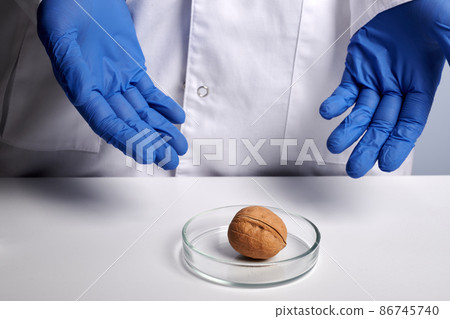 Doctor Shows Greek Nut in Glass Petri Dish- Labs Photo Doctor Shows Greek Nut in Glass Petri Dish- Labs Photo 86745740