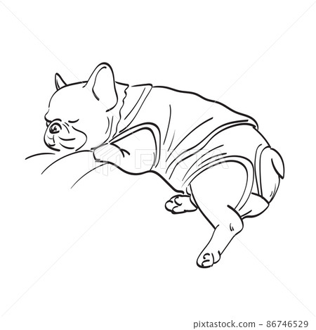 bulldog with cloth sleeping illustration vector hand drawn isolated on white background line art. bulldog with cloth sleeping illustration vector hand drawn isolated on white background line art. 86746529