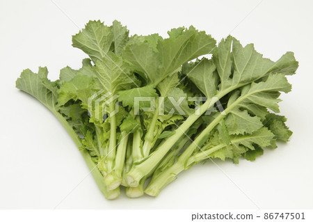 食用納巴娜 86747501