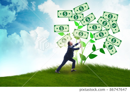 Businessman with money tree in business concept Businessman with money tree in business concept 86747647