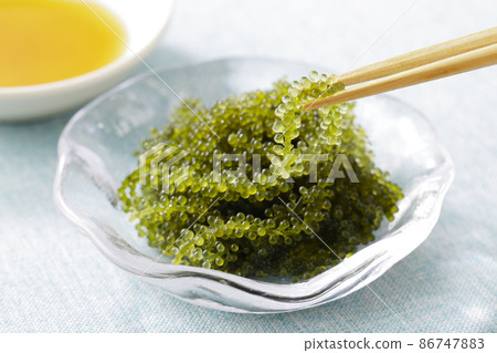 用筷子提起的海葡萄 用筷子提起的海葡萄 86747883