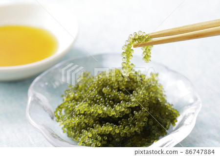 Sea grapes lifted with chopsticks 86747884