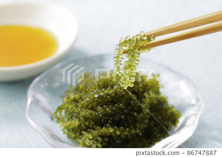 用筷子提起的海葡萄 用筷子提起的海葡萄 86747887