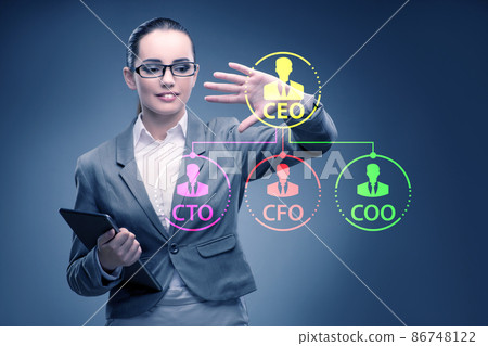 Businesswoman in the organisation chart concept 86748122