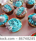 Cupcakes on the wedding day 86748285