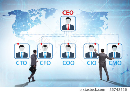 Illustration of organisation chart with various executives Illustration of organisation chart with various executives 86748536