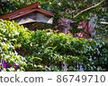 Shrine_dragon_lantern_3 86749710