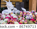 Shrine_dragon_flower_3 86749713