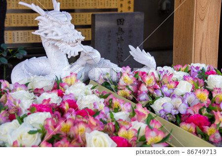 Shrine_dragon_flower_3 Shrine_dragon_flower_3 86749713