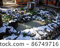 Shrine_dragon_ike_2 86749716