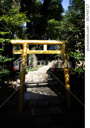 Shrine_Torii_1 Shrine_Torii_1 86749717