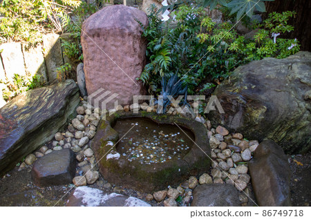 Shrine_Dragon_Pond_Saisen_1 Shrine_Dragon_Pond_Saisen_1 86749718