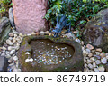 Shrine_Dragon_Pond_Saisen_2 86749719