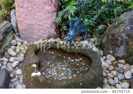 Shrine_Dragon_Pond_Saisen_2 Shrine_Dragon_Pond_Saisen_2 86749719