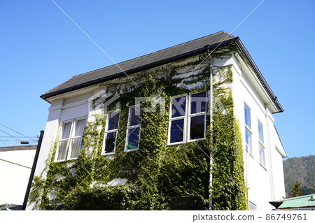 Ivy ivy house house 86749761