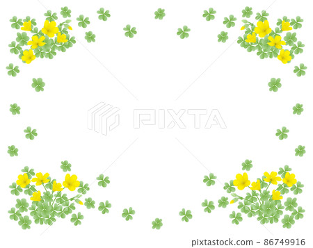 酢漿草框架 86749916