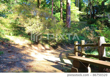 走在秋天的太陽的山路長凳風景 走在秋天的太陽的山路長凳風景 86750320