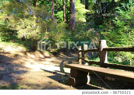 走在秋天的太陽的山路長凳風景 走在秋天的太陽的山路長凳風景 86750321