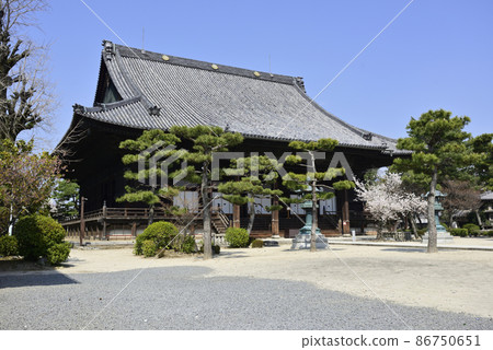 Hyakumanben Chionji Sakura 86750651