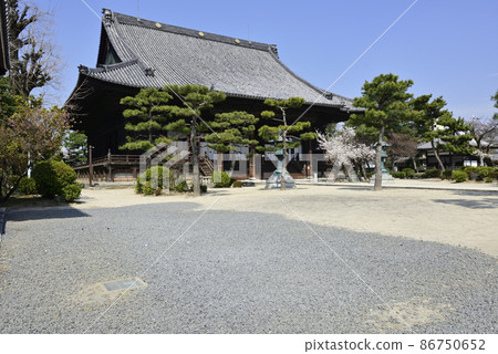 Hyakumanben Chionji Sakura 86750652