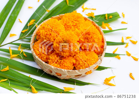 Marigold flowers in bamboo basket Marigold flowers in bamboo basket 86751238