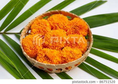 Marigold flowers in bamboo basket Marigold flowers in bamboo basket 86751520