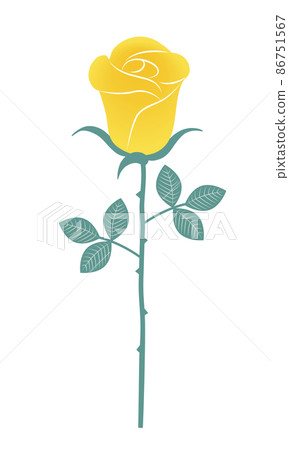 Yellow rose that is beginning to bloom Yellow rose that is beginning to bloom 86751567