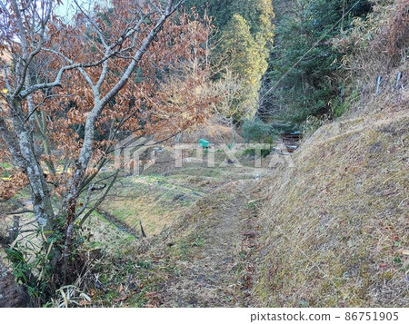 Country view Country view 86751905