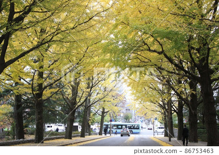 Ichigo Namiki 86753463