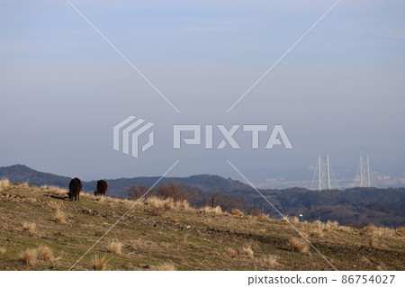 Beyond the ranch with two cows, the mountains, the tower of the suspension bridge, the haze of the city, and the scenery of clouds and the blue sky Beyond the ranch with two cows, the mountains, the tower of the suspension bridge, the haze of the city, and the scenery of clouds and the blue sky 86754027